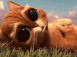 Huge Eyes GIF - Puppy Eyes Cat Puss In Boots GIFs
