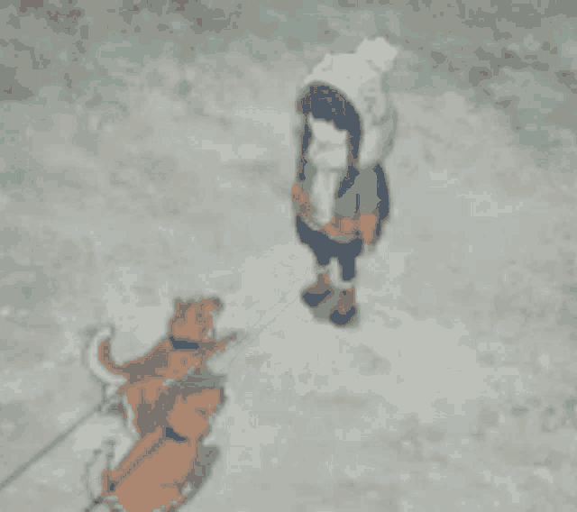 a person pulling a dog on a leash