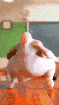 a chicken is standing on its hind legs on a wooden floor in front of a green board