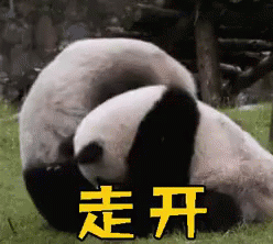 你走，走开，熊猫，打架，可爱 GIF - Go Away Leave Me Alone Panda GIFs