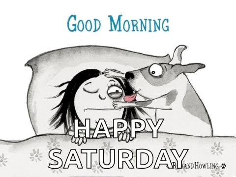 a cartoon of a woman laying in bed with a dog and the words " good morning happy saturday "