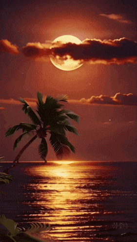 a palm tree stands in the foreground of a full moon over the ocean