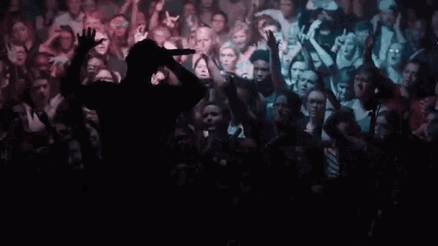 Crowd Fans GIF - Crowd Fans Clapping GIFs
