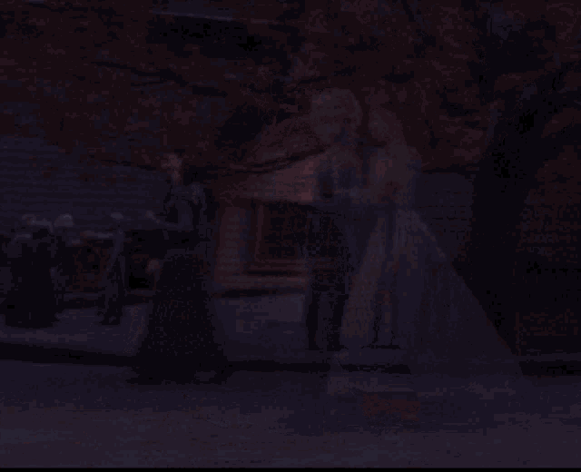 elsa and anna from frozen standing next to each other at night