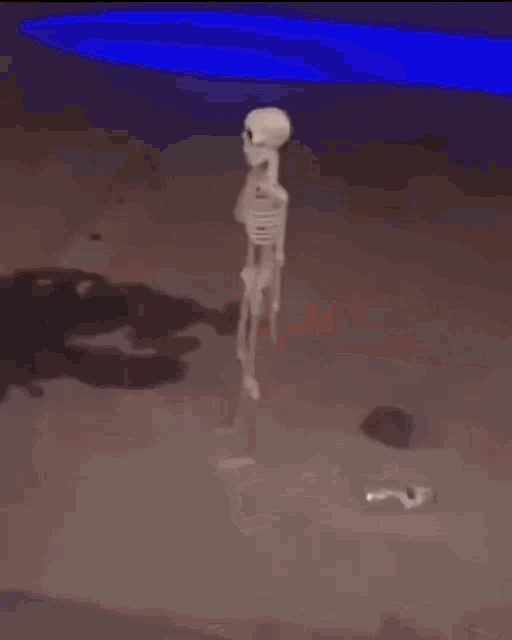 Skeleton Skeleton Standing GIF - Skeleton Skeleton Standing Dead GIFs
