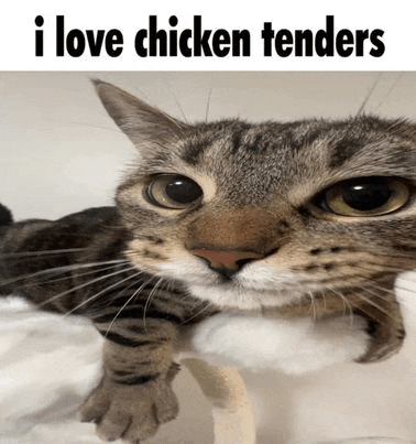 a cat is laying on a shelf and looking at the camera with the words `` i love chicken tenders '' above it .
