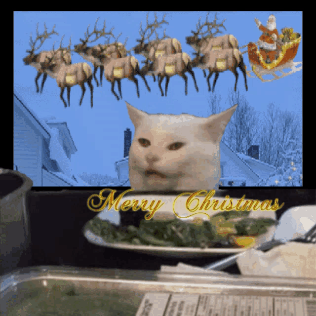 a merry christmas card with a cat and reindeer in the background