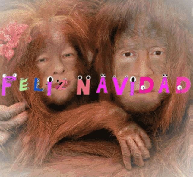 a couple of orangutans with feliz navidad written on the bottom