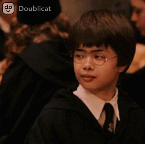 Pakkymemes Doublicat GIF - Pakkymemes Doublicat Harry Potter GIFs