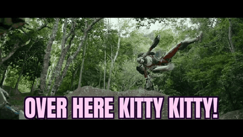 Over Here Over Here Kitty Kitty GIF - Over Here Over Here Kitty Kitty Transformer GIFs