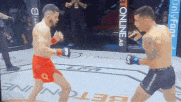 two men are fighting in a boxing ring with a sign that says ' ufc online ag ' on it