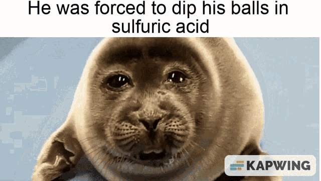 Sulfuric Acid Dip Balls GIF - Sulfuric Acid Dip Balls He Was Forced GIFs