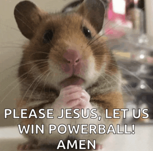 a hamster praying with the words please jesus let us win powerball