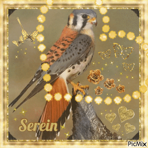 a picture of a bird with the name serein written on it