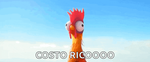 a rooster with a red crest is standing in front of a blue sky with the words costo ricooo on the bottom .