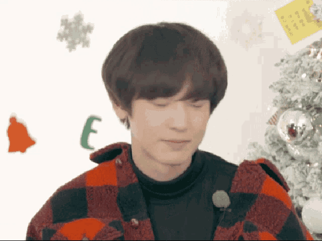a man wearing a plaid shirt is standing in front of a christmas tree with the letter e on it