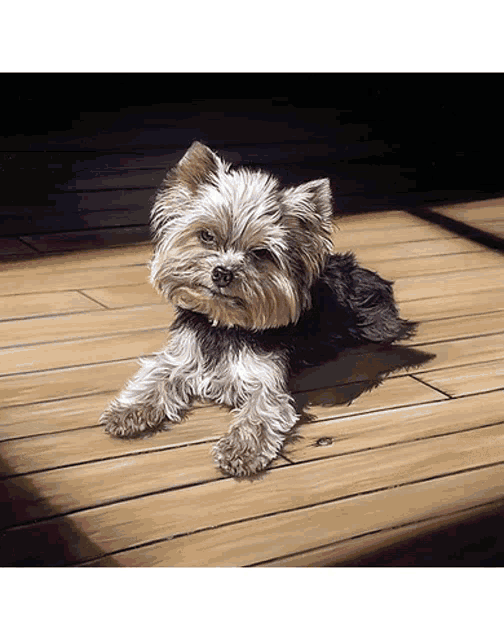 a small dog laying on a wooden deck