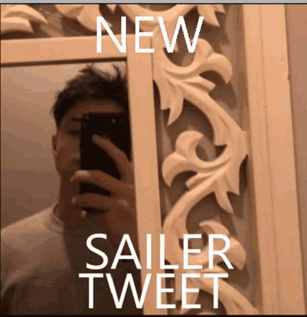 a man is taking a picture of himself in a mirror with the words new sailer tweet below him