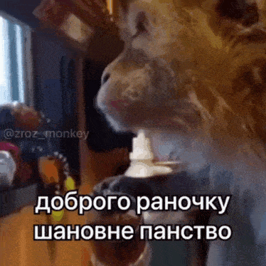 a cat is drinking from a bottle with a caption in russian