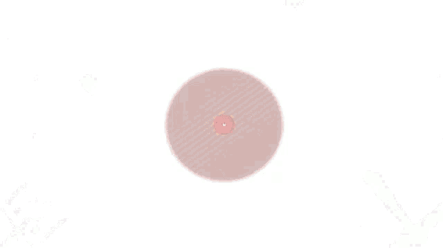 a pink and black circle with a white circle in the center