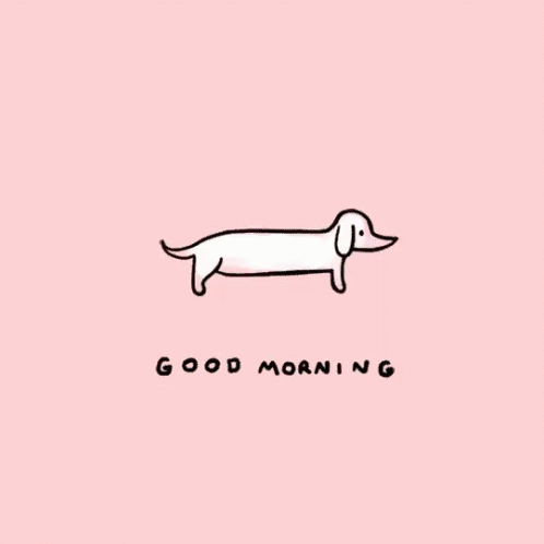 Yoga Dog Morning GIF - Yoga Dog Morning Good Morning GIFs