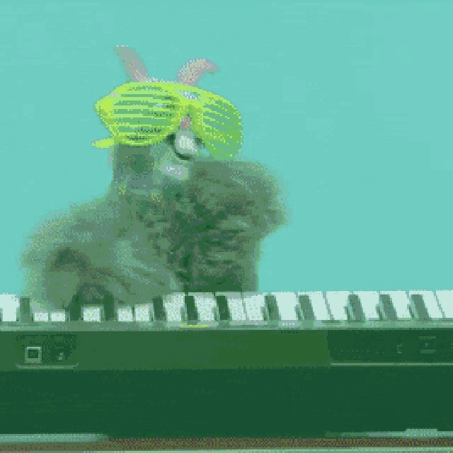 a cat wearing sunglasses and bunny ears plays a keyboard