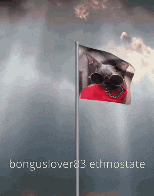 a cat wearing sunglasses and a red shirt is on a flag with bonguslover83 ethnostate written below it