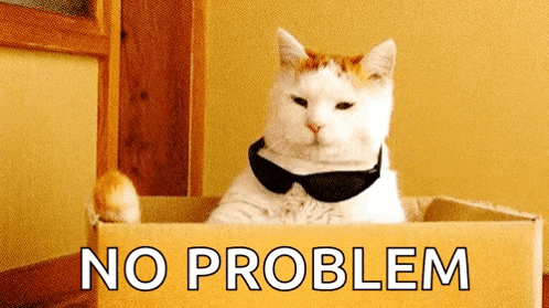 a cat wearing sunglasses sits in a cardboard box that says " no problem "