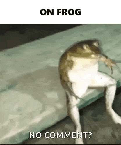 a frog with no legs is sitting on a table and says no comment ?
