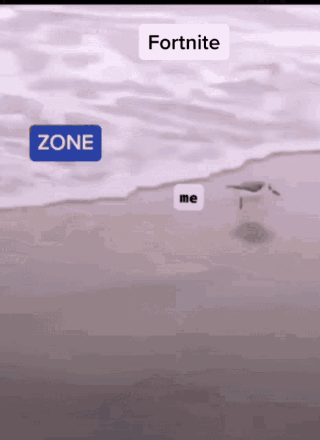 a cartoon of a beach with the words zone and fortnite on it