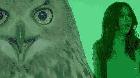 a woman standing next to an owl with a green background .