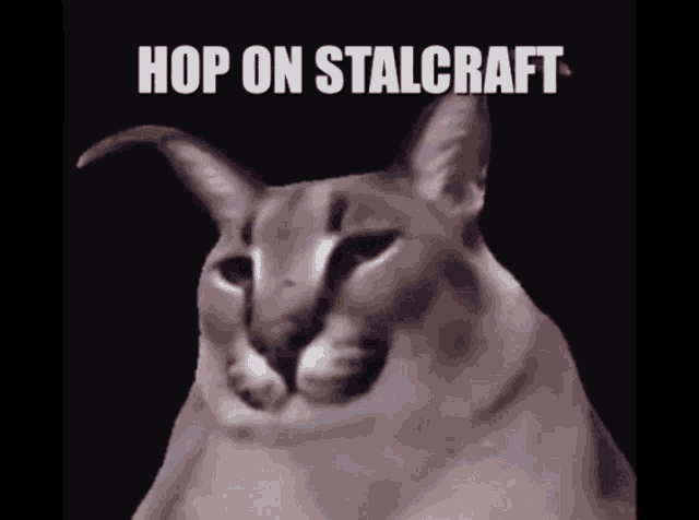 Stalcraft Floppa GIF - Stalcraft Floppa GIFs