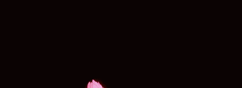 a pink and white flower with green leaves on a black background
