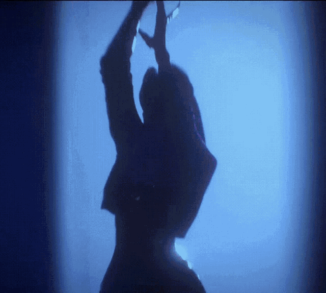 a silhouette of a person with their arms up in the air