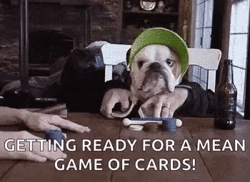 a bulldog wearing a green hat is sitting at a table with a person playing a game of cards .