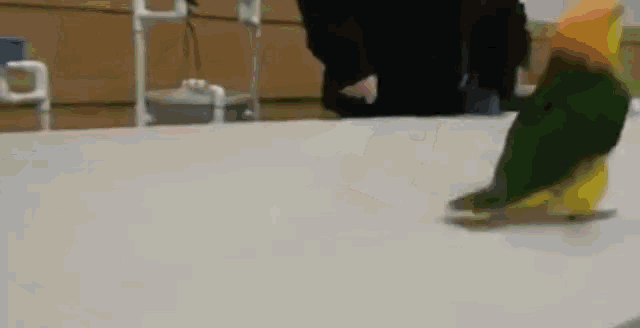 This Bird GIF - This Bird Is GIFs