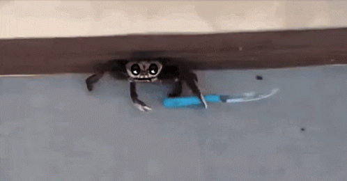 Crab Fight GIF - Crab Fight Knife GIFs