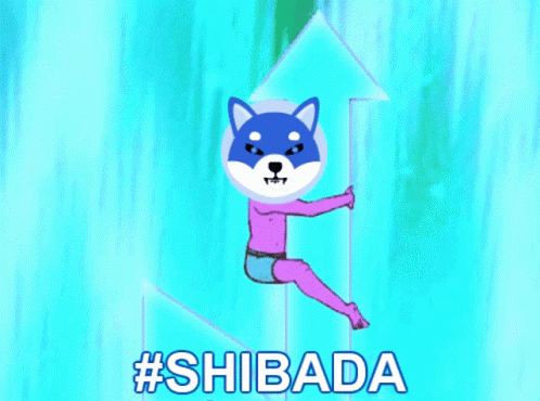 Shibada GIF - Shibada GIFs