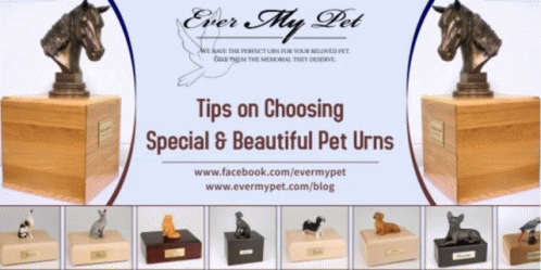 Pet Ashes Urns Pet Cremation Urns GIF - Pet Ashes Urns Pet Cremation Urns Pet Memorial GIFs