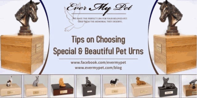 an advertisement for ever my pet shows a variety of urns for pets