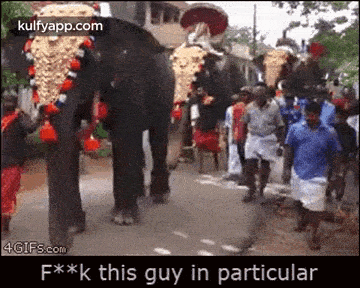 Elephant Kick.Gif GIF - Elephant Kick Elephant Kick GIFs