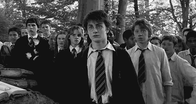 harry potter and his friends are standing in front of a large group of people in uniforms and ties .