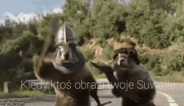 a couple of squirrels are standing next to each other on a road wearing helmets and holding swords .