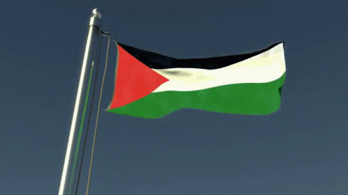 Palestine Flag Waving Palestine GIF - Palestine Flag Waving Palestine Palestine Flag GIFs