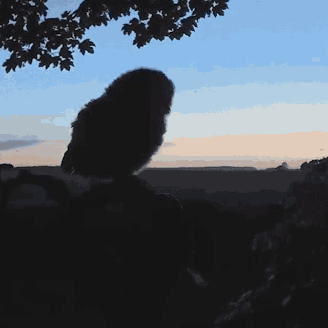 a dark landscape with a tree in the foreground
