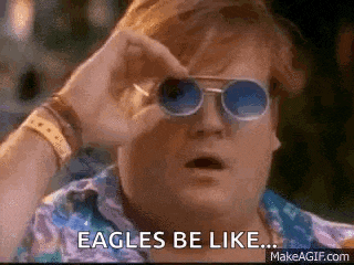 a man wearing sunglasses is saying `` eagles be like ... ''