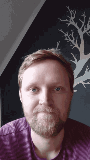 a man with a beard wearing a purple shirt looks at the camera