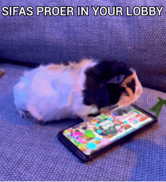 Sifas Pro Sifas Proer GIF - Sifas Pro Sifas Proer Sifas GIFs