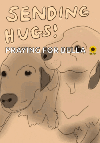 a drawing of two dogs says sending hugs and praying for bella