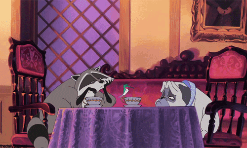 a raccoon and a pug sit at a table with cups of coffee